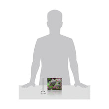 Load image into Gallery viewer, Pokémon: Scarlet & Violet: Shrouded Fable - Elite Trainer Box